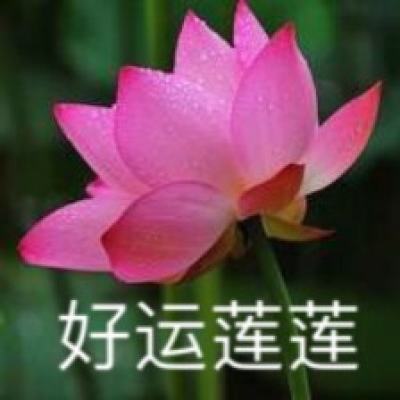 末日快打传说bt版下载